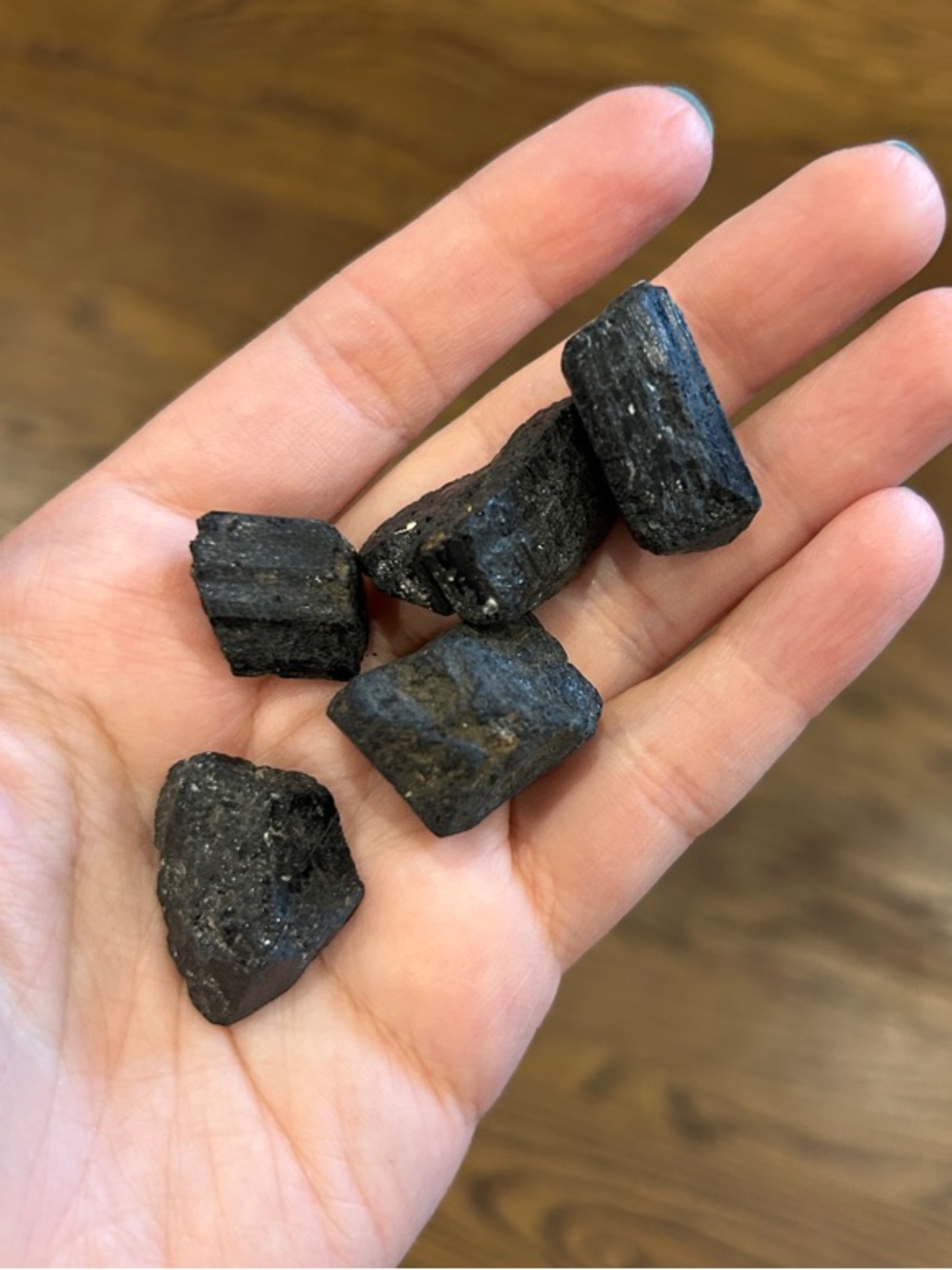 Black Tourmaline Raw Crystal Stones in Hand - set of 5